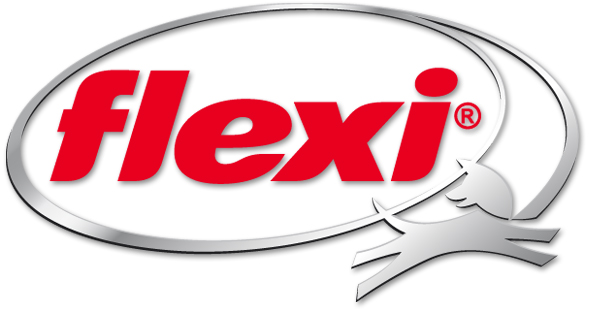 logo-flexi